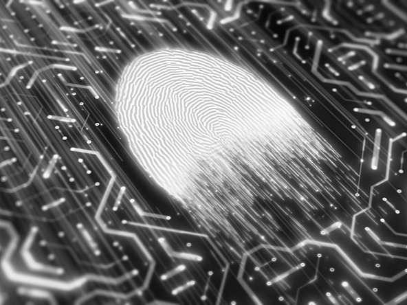 black and white image of a thumb print on a circuit board
